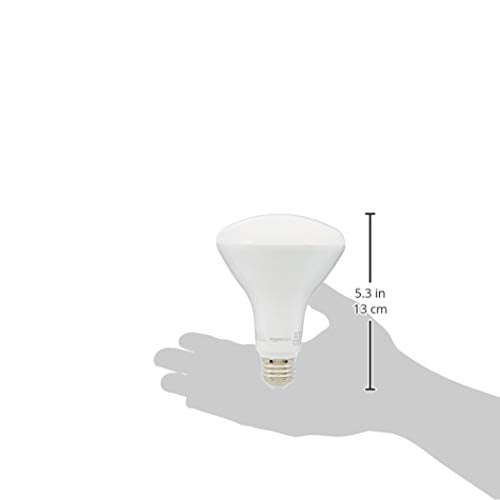 Basics BR30 LED Light Bulbs, 65W Equivalent, 11W Energy Efficient, E26 Standard Base, Soft White 2700K, Dimmable, 10,000 Hour Lifetime, 6-Pack