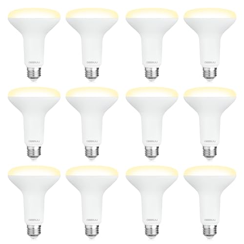 12 Pack BR30 LED Recessed Light Bulb, Dimmable Indoor Flood Light Bulbs CRI80 7W Equivalent 65W 2700K Soft White 650 Lumens, 15000 Lifetime Hours E26 Base LED Can Light Bulb, Flicker-Free