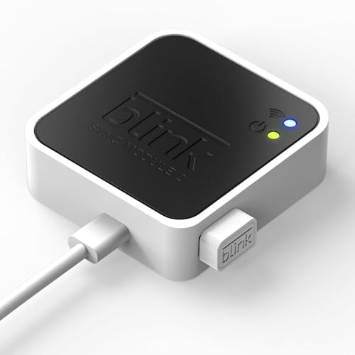 Blink USB Flash Drive for local video storage with Blink Sync Module 2