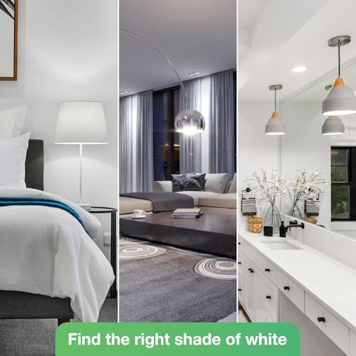 LED Light Bulbs, 100 Watt Equivalent LED Bulbs A19, 5000K Daylight Light Bulb, 1500 Lumens, E26 Standard Base, Non-Dimmable, 13W Bright White LED Bulbs for Bedroom Home Office, 12 Pack