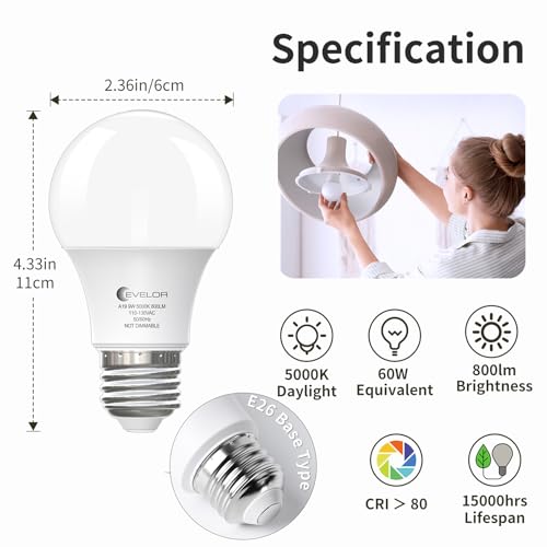 6-Pack A19 LED Light Bulbs,60 Watt Equivalent Daylight 5000K with E26 Base,Efficient 9W,800 Lumens Non-Dimmable LED Bulbs,15000 Hours, Ideal for Bedroom Living Room