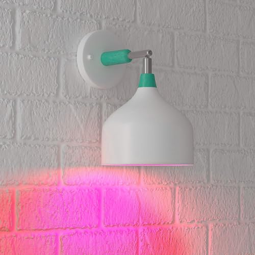 Basics A19 Red Color Party LED Light Bulbs, 60W Equivalent, 9W Energy Efficient, E26 Standard Base, Non-Dimmable, 10,000 Hour Lifetime, 2-Pack