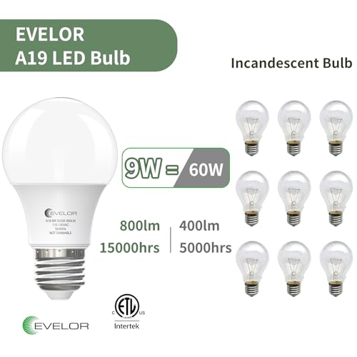 6-Pack A19 LED Light Bulbs,60 Watt Equivalent Daylight 5000K with E26 Base,Efficient 9W,800 Lumens Non-Dimmable LED Bulbs,15000 Hours, Ideal for Bedroom Living Room