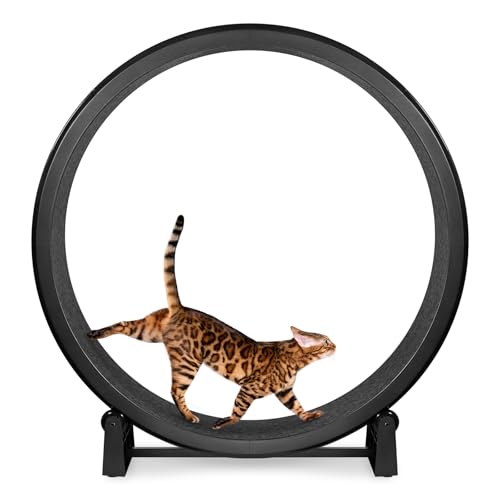 One Fast Cat - Cat Exercise Wheel - Gen. 7 - Safe 48" Diameter - Made in The USA - Black Wheel with Black Felt Traction Pads and Solid Inline Wheels