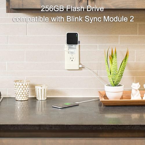 256GB Blink USB Flash Drive, with Outlet Wall Mount for Sync Module, Space-Saving Mount Bracket Holder for Blink Outdoor/Indoor Security System (Sync Module 2 is NOT Included),1Pack