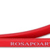 ROSAPOAR Resistance Bands - Natural Latex Workout Bands for Fitness, Stretching, Powerlifting