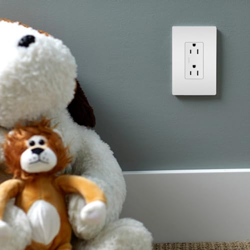 Legrand Radiant 885TRWCC21 15 Amp Decorator Duplex Outlet, White, 1 Count