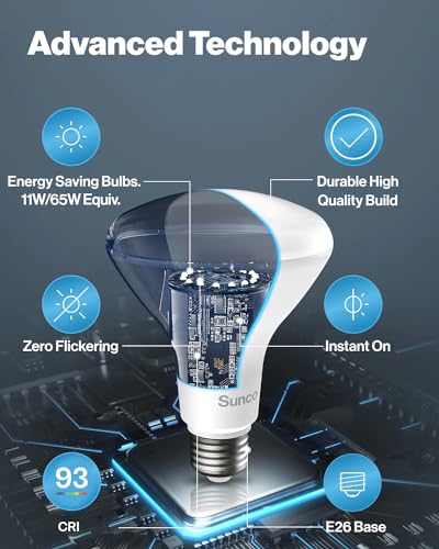 Sunco 6 Pack BR30 Light Bulb LED Recessed Can Light Bulbs, Indoor Flood Light Bulb 850 LM, 11W (65W Equivalent), 3000K Warm White, Dimmable, E26 Base, for Home, Kitchen, Bedroom UL