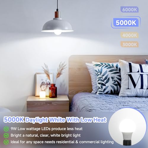 A19 LED Light Bulbs, 60 Watt Equivalent LED Bulb, Daylight White 5000K, 850 Lumen, E26 Base, Non-Dimmable, 9W Bright White LED Bulb, 4-Pack