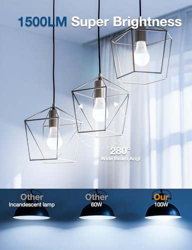 DAYBETTER LED Light Bulbs, A19 5000K Daylight Light Bulbs 100 Watt Equivalent, 1500LM Bright White Light Bulbs, E26 Standard Base, Non-Dimmable, 15 Watt Lightbulbs for Home Office, 12 Pack