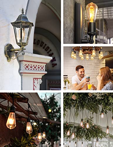 Dusk to Dawn Edison Light Bulbs ST19, Vintage Amber Glass, 2300K Amber Warm, 6.5W=60W, Non-Dimmable Auto On/Off Light Sensing LED Filament Bulb Outdoor, 700LM, E26, 2-Pack, HQ-H027