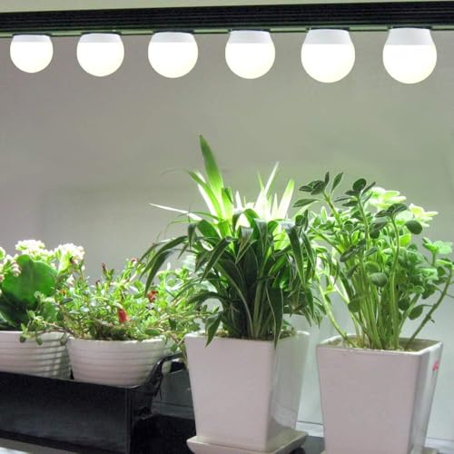 3 Pack A19 LED Grow Light Bulbs – Full Spectrum 9W E26, Dimmable, Indoor Plant & Greenhouse (100W Replacement)