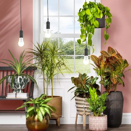 2 Pack LED Grow Light Bulbs A19 – Full Spectrum 9W E26 for Indoor Plants