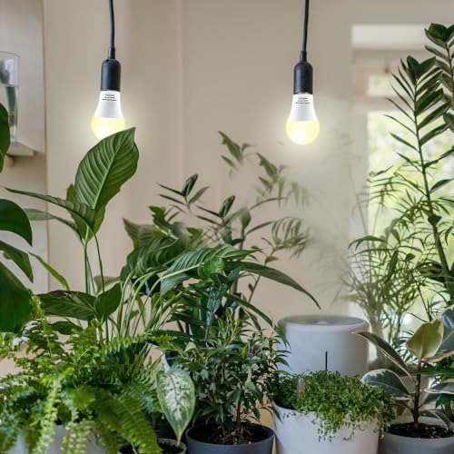 2 Pack LED Grow Light Bulbs A19 – Full Spectrum 9W E26 for Indoor Plants