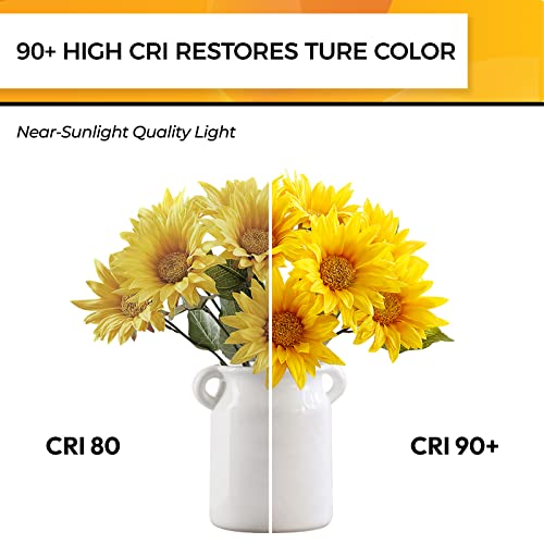 Hizashi 90+CRI Candelabra LED Light Bulbs 60 Watt, 2700K Warm White, E12 LED Bulb Dimmable, B11 Chandelier Light Bulbs, 6W, 550LM, Candle Light Bulbs, UL Listed, 12 Pack