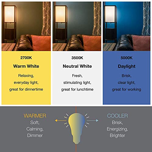 Sylvania ECO LED Light Bulb, A19 60W Equivalent, Efficient 9W, 7 Year, 750 Lumens, 2700K, Non-Dimmable, Frosted, Soft White - 8 Pack (40821)