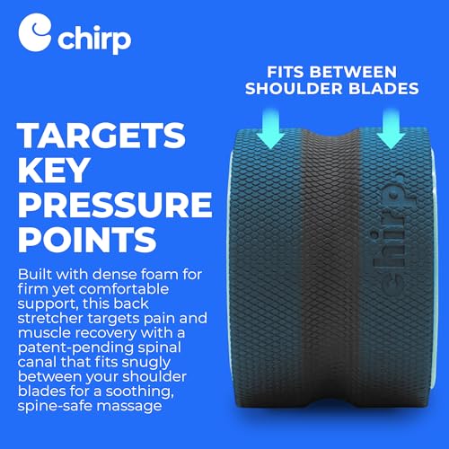 Chirp Wheel Foam Roller – 6” High-Density Muscle Roller for Back & Neck, Trigger Point Therapy, Deep Tissue Massage, Stretching & Exercise, Spine-Friendly, 500 lbs Capacity (Mint)