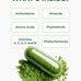 PURA VIDA MORINGA Organic Moringa Capsules, Pure Moringa Leaf Powder Single Origin for Energy, Metabolism & Immune Support, 120ct, 500mg Caps