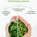 PURA VIDA MORINGA Organic Moringa Capsules, Pure Moringa Leaf Powder Single Origin for Energy, Metabolism & Immune Support, 120ct, 500mg Caps