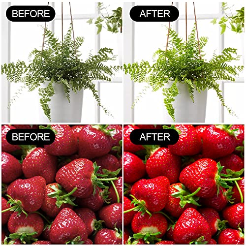 2 Pack LED Grow Light Bulbs A19 – Full Spectrum 9W E26 for Indoor Plants