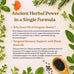 Micro Ingredients Oil of Oregano Softgels, 300 Count | 2 in 1 Formulated with Black Seed Oil | 4X Strength Carvacrol & Thymoquinone | Plant Based, Non-GMO