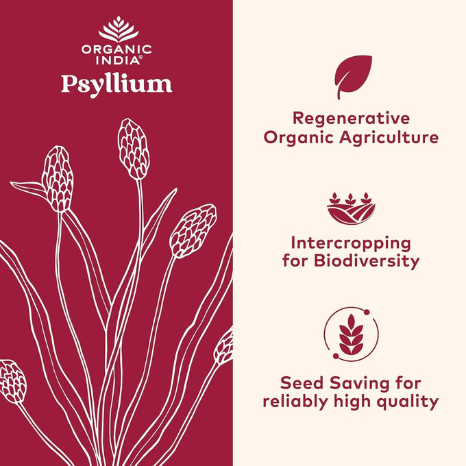 ORGANIC INDIA Psyllium Herbal Powder - Whole Husk Fiber, Vegan, Gluten-Free, USDA Certified Organic, Non-GMO, Soluble & Insoluble Fiber Source - 12 Oz Canister (Pack of 1)