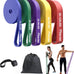 Fitense Resistance Bands Set - Pull Up Bands for Men & Women, 4 Levels, Anchor, Poster & Pouch