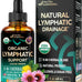 USDA Organic Lymphatic Drainage Supplement - Echinacea | Elderberry | Dandelion | Rosehip | Cleavers | Calendula | Burdock - Lab Tested - Lymph System Drops - Immune Support, Cleanse & Detox, 2 fl oz