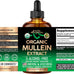 Mullein Drops for Lungs - USDA Organic Liquid - Mullein Leaf Extract Supplement - for Women & Men - Lung & Bronchial Cleanse for Smokers - Respiratory Health Support - As Tincture, Tea, Pills - 4 oz