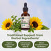 Garden of Life Organics Oil of Oregano Seasonal Drops 1fl oz (30 mL) Liquid, Concentrated Plant Based Immune Support - Alcohol-Free, Organic, Non-GMO, Vegan & Gluten Free Herbal Supplements