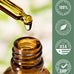 Carlyle Organic Oil of Oregano Liquid Drops - 2 fl oz - 1 Year Supply | Vegan Herbal Supplement | Non-GMO, Gluten Free