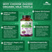 Zazzee USDA Organic Milk Thistle 30:1 Extract, 80% Silymarin, 120 Vegan Capsules, 4 Month Supply, Certified Kosher, High Potency Liver & Antioxidant Support, Silybum Marianum, Non-GMO, Made in the USA