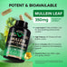 Mullein Lung Detox Supplement with Mullein Leaf 10:1 Extract and 15-in-1 Lung Support