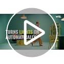 WiZ Connected Smart Light Bulbs, 2-Pack, Color A19 60W 800LM E26 Indoor LED Lights, Smart Bulbs with Motion Detection, Control with Voice or App